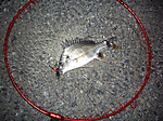 Photo_20