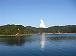 312_medium