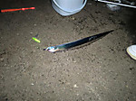 Photo_10