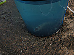 316_medium