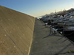336_medium
