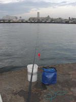 Small_8