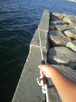 Photo_2