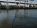 348_medium_2