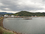 P9080050_medium
