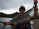 P9080057_medium_2