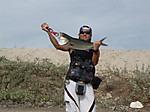 P9080065_medium_4
