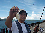 Photo_9