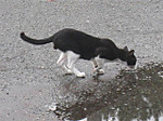 Photo_13