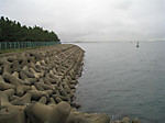 Photo_20