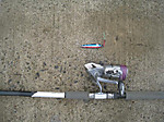 Photo_27
