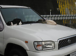 Photo_28