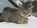 Photo_30