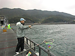 Medium_12