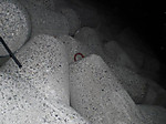 Photo_20