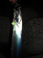 Photo_25