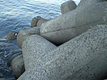 Photo_27