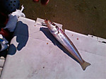 Small_3