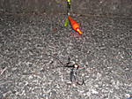 Photo_3