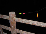 Photo_7