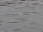 Photo_42