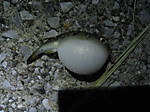 Photo_48
