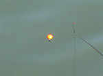 Photo_11