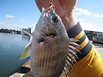 Photo_19
