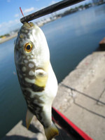 Photo_21