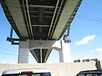 Photo_3