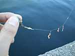 Photo_37