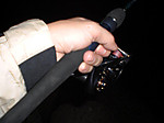Photo_42