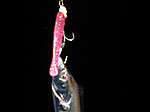 Photo_45
