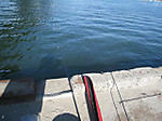 Photo_7