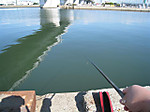 Photo_9