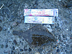 Photo_11