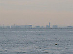 Photo_14