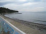 Photo_3