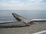 Photo_4