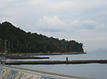 Photo_5