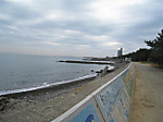 Photo_6