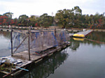 Dvc00089_small
