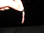 474_medium