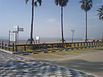 Photo_9