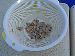Photo_7