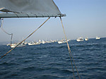 Photo_7