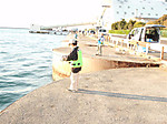 512_medium_2