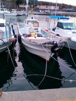 Small_5