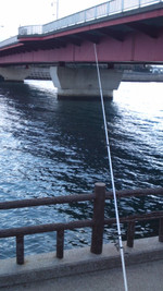 Photo_6