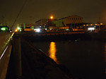 203_medium